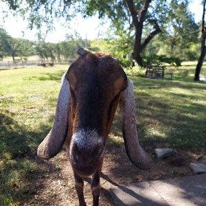 Meet your Posher, Christine